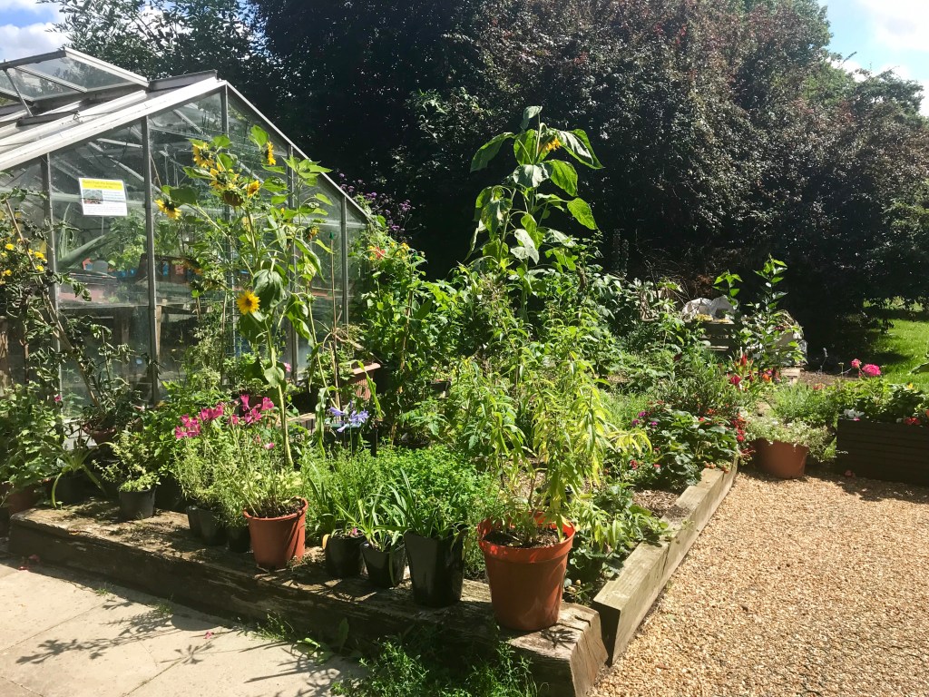Brentford Dock greenhouse gimme veg