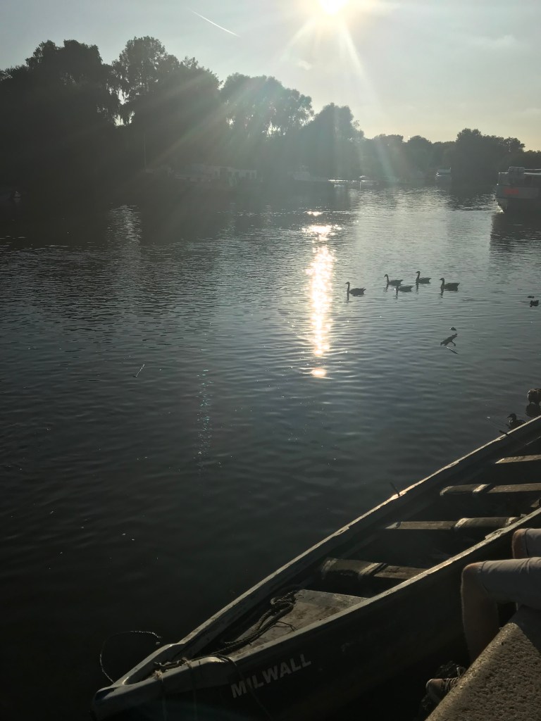 Thames Walk Sundown - Gimme Veg!